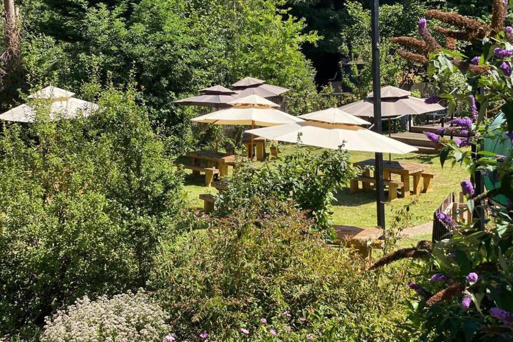 17Th Century Boutique Getaway In The Countryside Apartman Martin Mill Kültér fotó